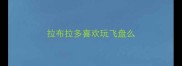 拉布拉多喜欢玩飞盘么