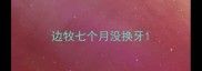 边牧七个月没换牙