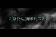 北京托运猫咪到深圳