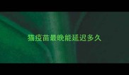 猫疫苗最晚能延迟多久