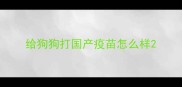 给狗狗打国产疫苗怎么样