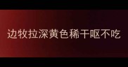 边牧拉深黄色稀干呕不吃