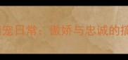 摩羯座哈士奇萌宠日常傲娇与忠诚的搞笑互动全记录