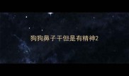 狗狗鼻子干但是有精神