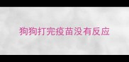 狗狗打完疫苗没有反应