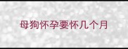 母狗怀孕要怀几个月
