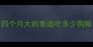 四个月大的泰迪吃多少狗粮