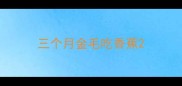 三个月金毛吃香蕉