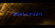猫需要打狂犬疫苗吗