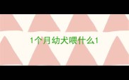 1个月幼犬喂什么