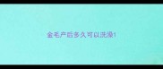 金毛产后多久可以洗澡