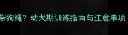 小狗几个月开始带狗绳幼犬期训练指南与注意事项附科学方法