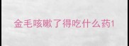 金毛咳嗽了得吃什么药