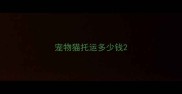 宠物猫托运多少钱
