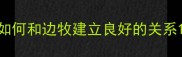如何和边牧建立良好的关系