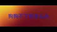 狗狗不下奶怎么办