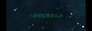 小狗怕打雷怎么办