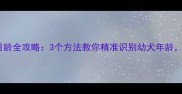 金毛判断月龄全攻略3个方法教你精准识别幼犬年龄养宠必看