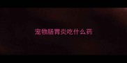宠物肠胃炎吃什么药