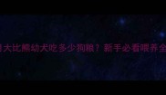 两个月大比熊幼犬吃多少狗粮新手必看喂养全攻略