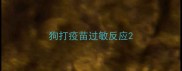 狗打疫苗过敏反应