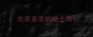 北京走丢的哈士奇