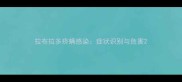 拉布拉多疥螨感染症状识别与危害