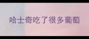 哈士奇吃了很多葡萄