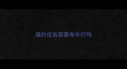 猫的疫苗需要每年打吗