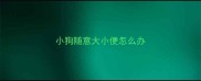 小狗随意大小便怎么办