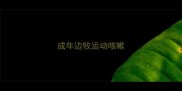成年边牧运动咳嗽