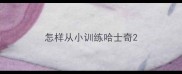 怎样从小训练哈士奇