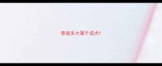 泰迪多大属于成犬