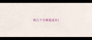 狗几个月算是成犬