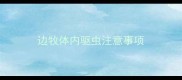 边牧体内驱虫注意事项