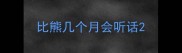 比熊几个月会听话