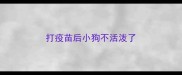 打疫苗后小狗不活泼了