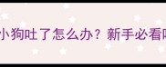 紧急处理指南小狗吐了怎么办新手必看呕吐急救全攻略