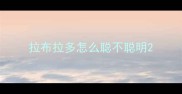 拉布拉多怎么聪不聪明