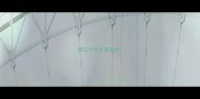 狗五个月老是张嘴