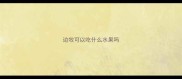 边牧可以吃什么水果吗