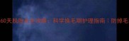 秋田幼犬30-60天脱胎毛全攻略科学换毛期护理指南防掉毛秘籍大公开