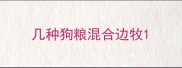 几种狗粮混合边牧