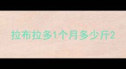 拉布拉多1个月多少斤