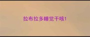 拉布拉多睡觉干咳