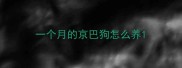 一个月的京巴狗怎么养