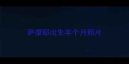 萨摩耶出生半个月照片