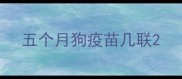 五个月狗疫苗几联