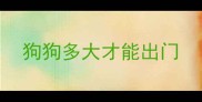 狗狗多大才能出门