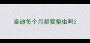 泰迪每个月都要驱虫吗